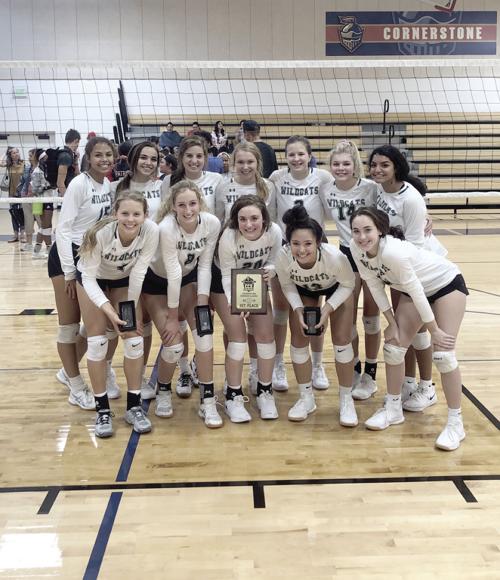 Lady Cats