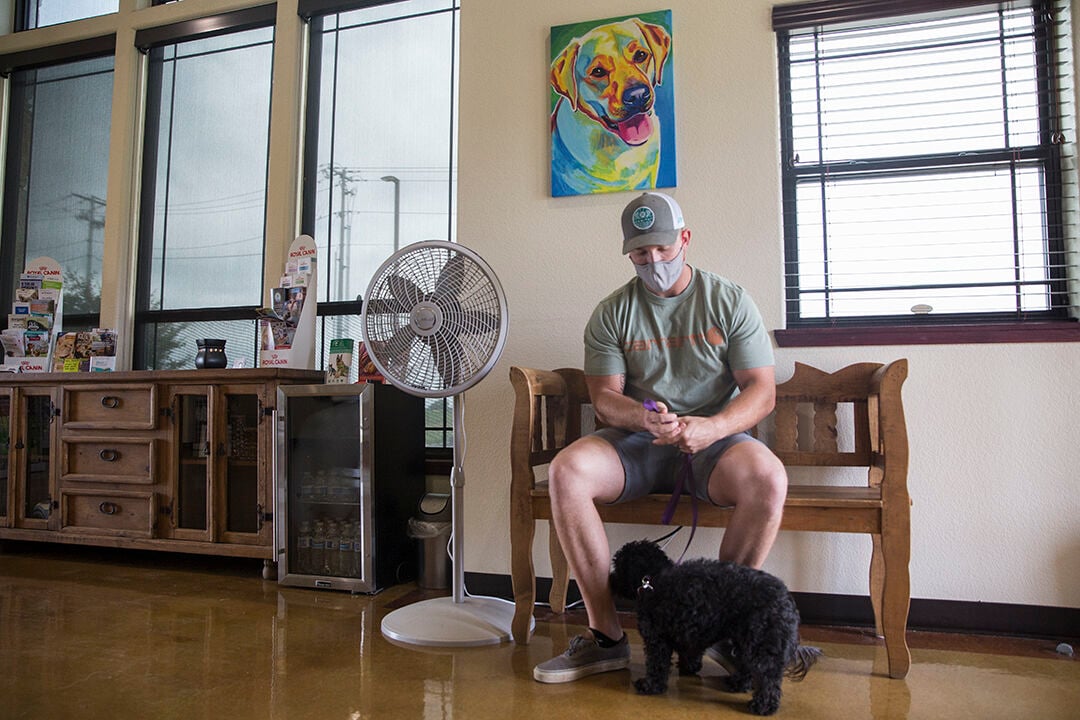 New Pets More Work For Vets Fueled By Pandemic And Stimulus Community Alert Herald Zeitung Com