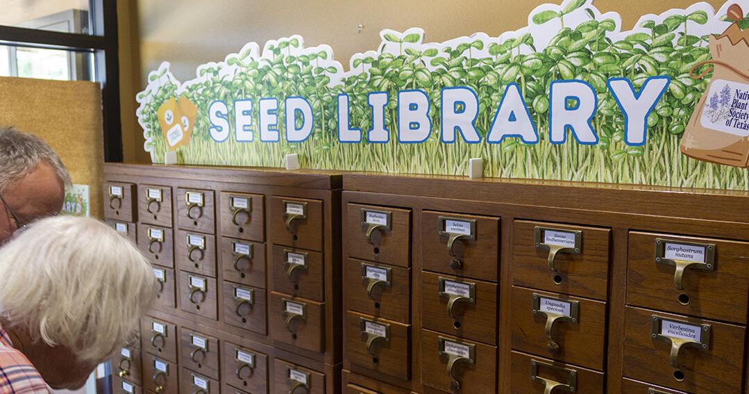 SPROUTING NEW LIFE: Canyon Lake Seed Library offers native plant seeds to community - Vimarsana News