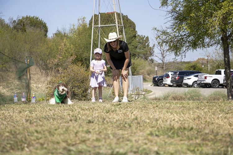Barkin' Buckaroos: Pets show off talents at 2026 dog rodeo | | herald ...