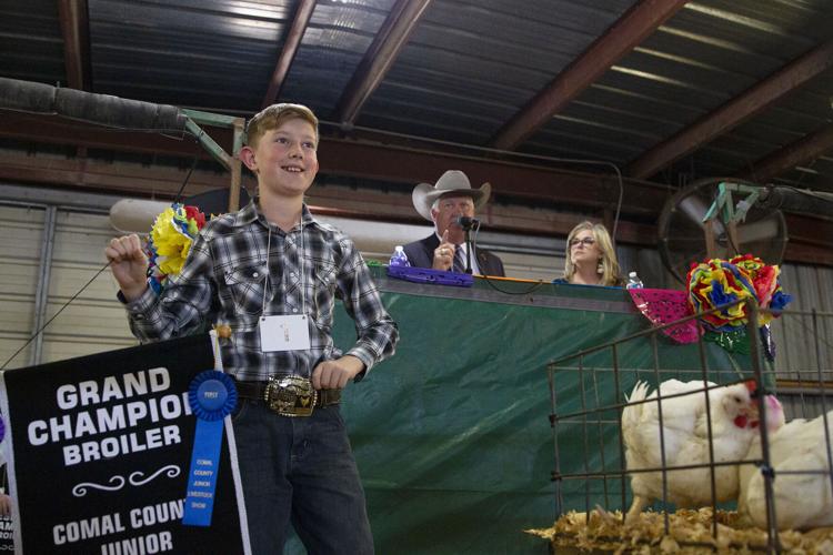 Comal County Jr. Livestock Show auction