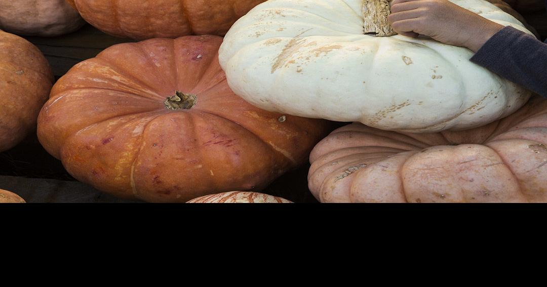 New Braunfels taps into Halloween spirit with fall events Community