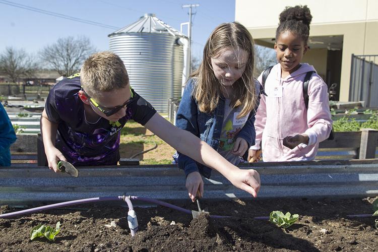 New Braunfels Food Bank Spring Break Garden Camp Lifestyle herald