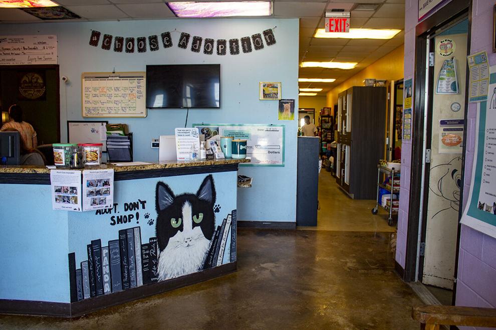 New Braunfels humane society faces multifaceted issues fueling talks about funding