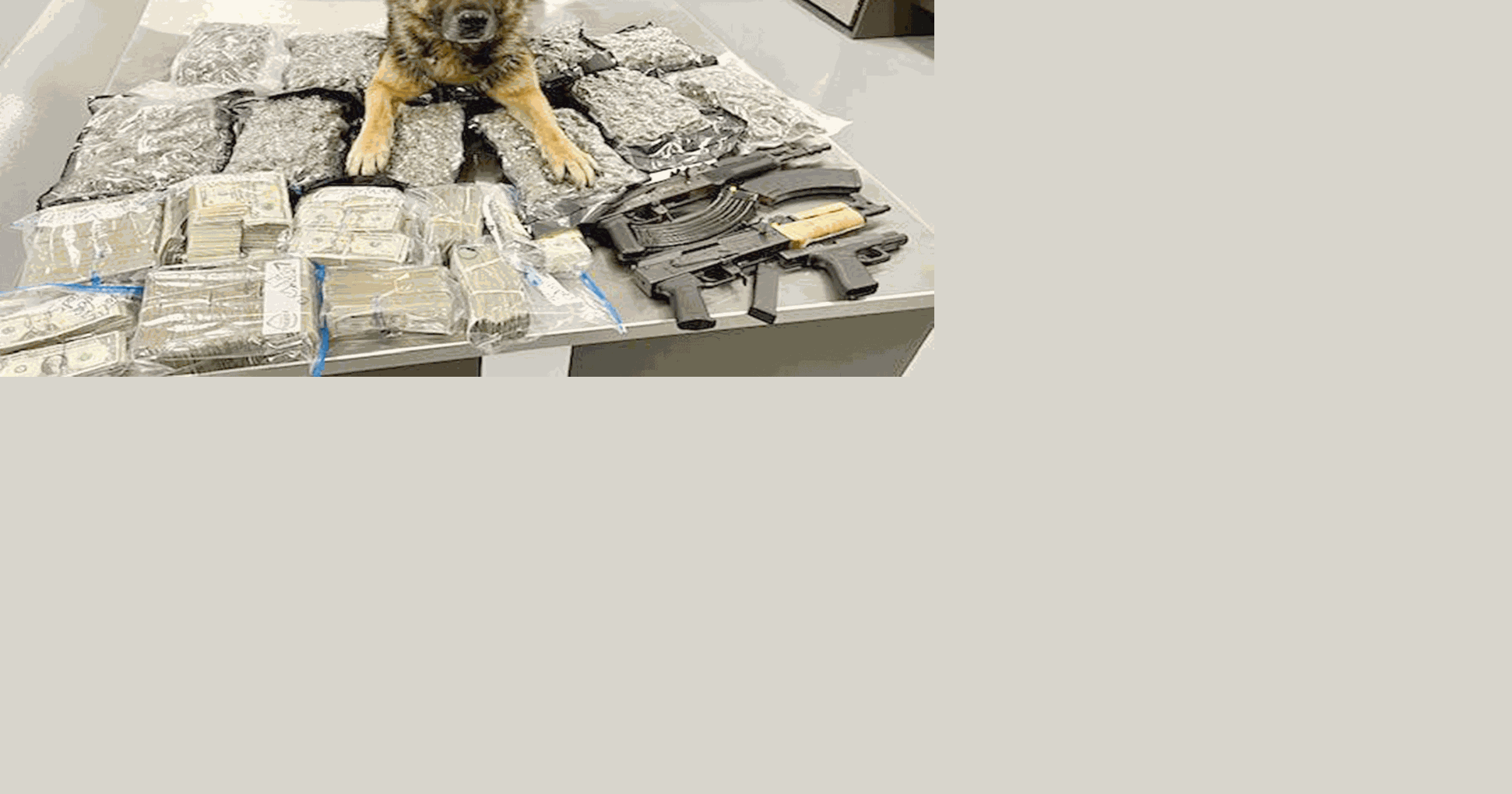 New Braunfels PD arrests Fort Worth trio after finding $260K in cash ...