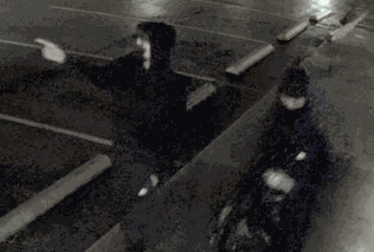 New Braunfels PD searching for tips related to unsolved burglaries ...