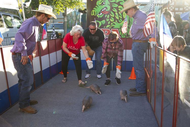 Armadillo races at Krause’s Cafe
