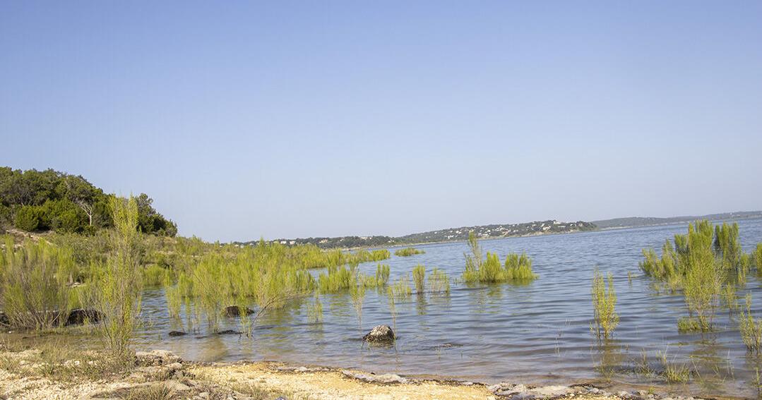 Body of adult male found in Canyon Lake Sunday