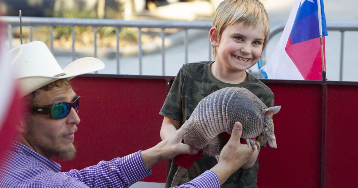 Armadillo races at Krause's Cafe | Community Alert | herald-zeitung.com