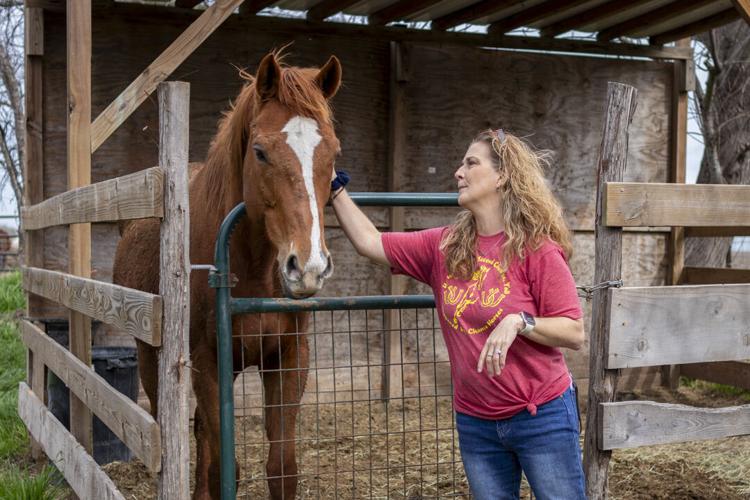 'THOROUGHBRED ALLEY': New Braunfels nonprofit Happened By Chance marks ...