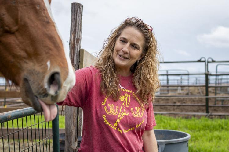 'THOROUGHBRED ALLEY': New Braunfels nonprofit Happened By Chance marks ...