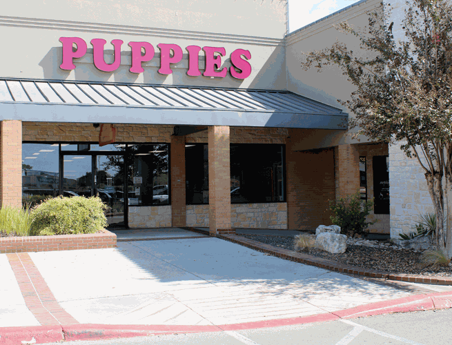 Puppyland muzzled New Braunfels Council votes to ban sale of pets from
