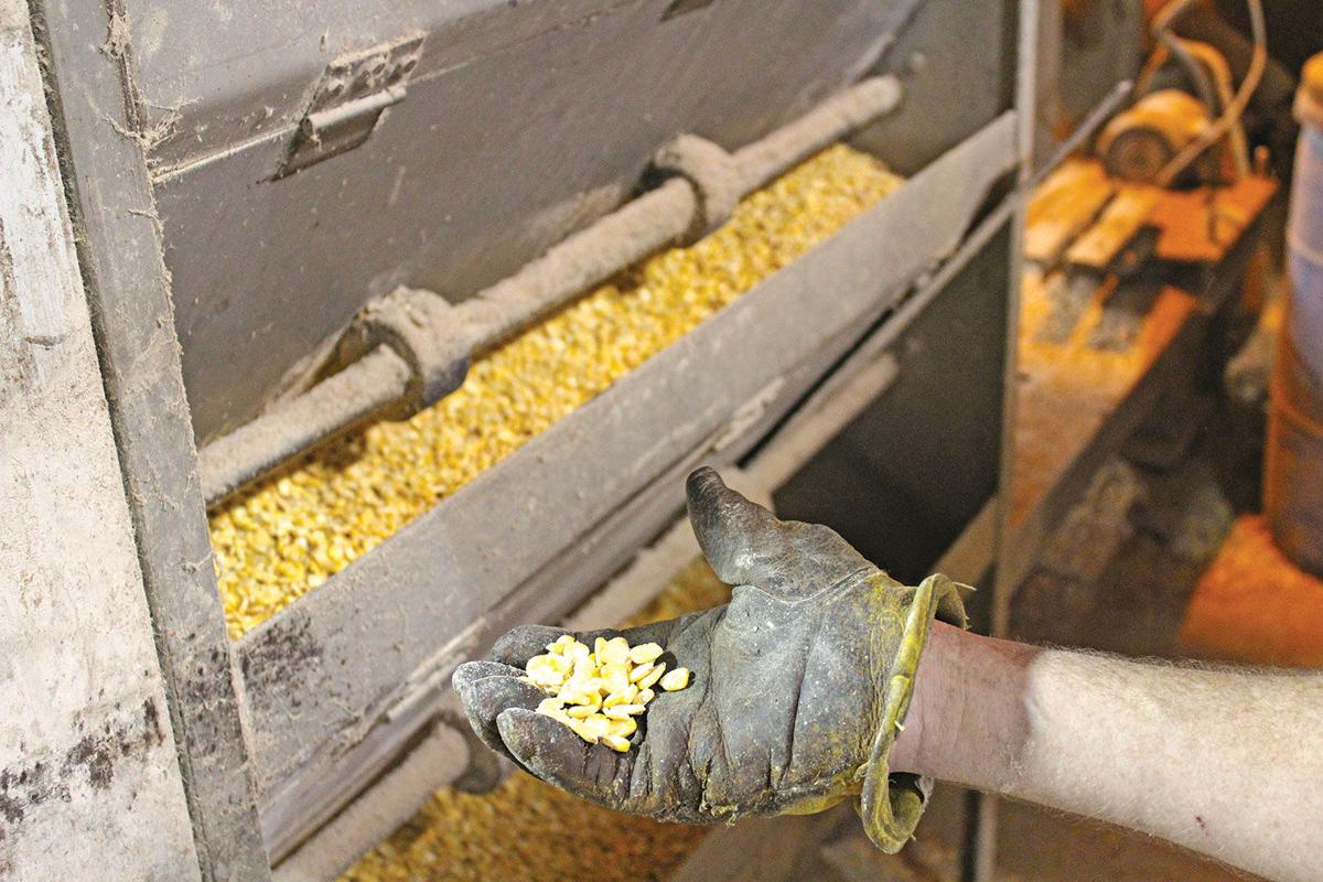 Historic partnership Producers CoOp still growing, strong in the