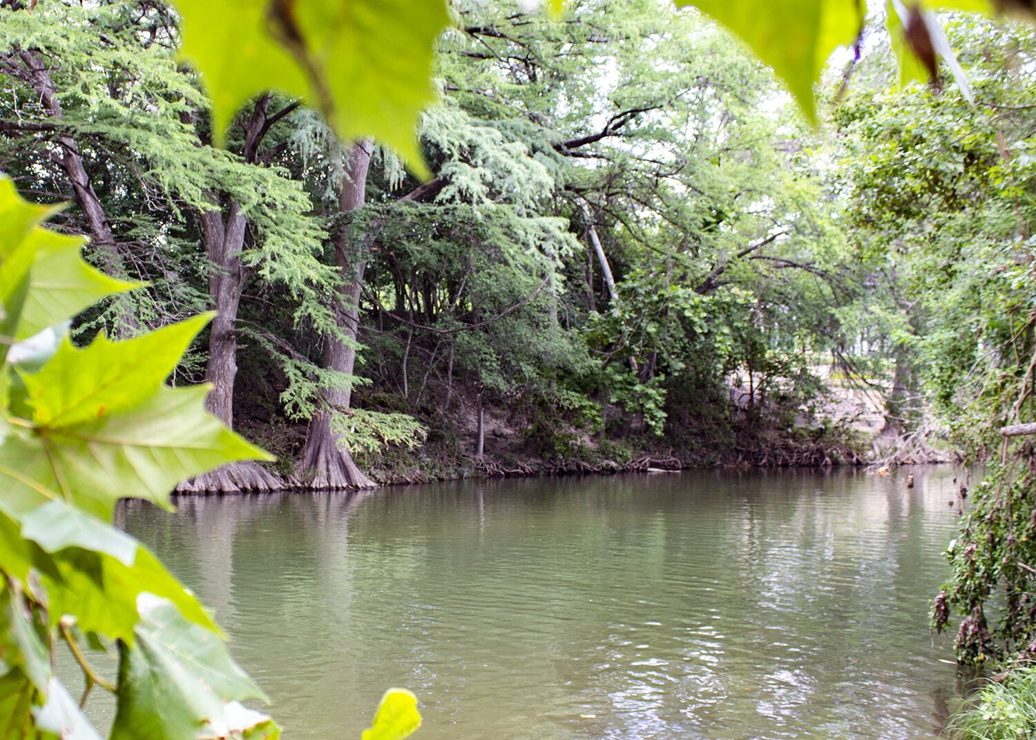BEYOND THE BANKS: Unraveling environmental impacts in Comal County ...