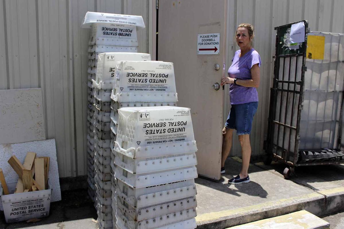 Stamp Out Hunger food drive