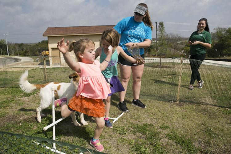 Dog Rodeo Multimedia