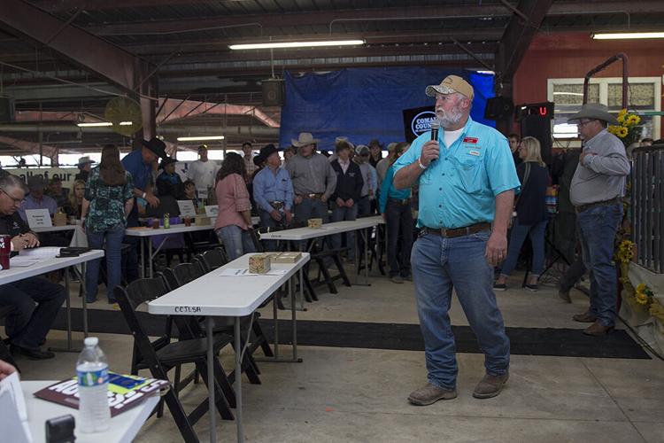 Comal County Junior Livestock Show Auction snapshots Lifestyle