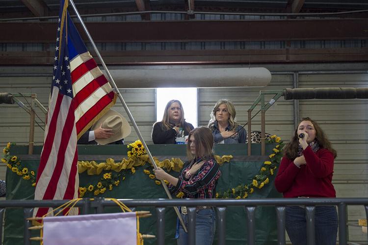 Comal County Junior Livestock Show Auction snapshots Lifestyle