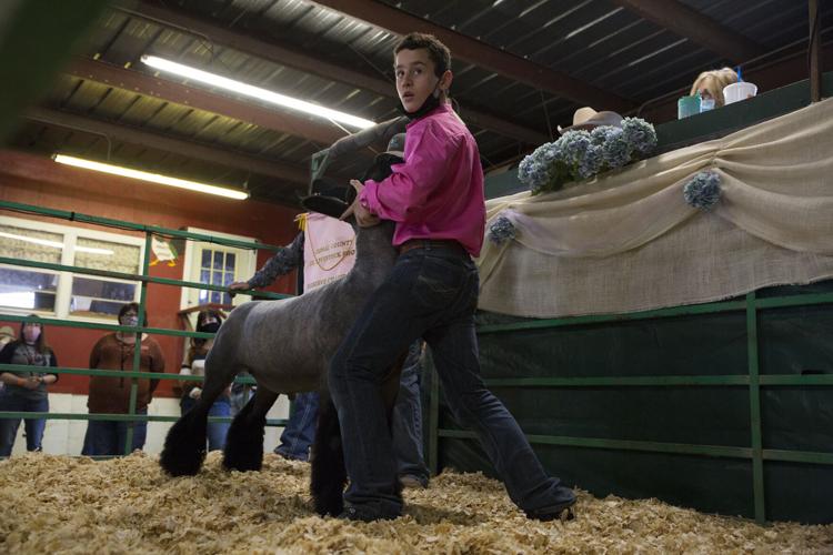 Junior Livestock Show Auction Multimedia