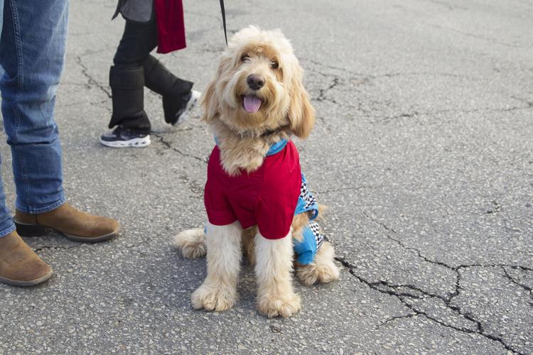 New Braunfels gets a taste of Halloween during Downtown Spooktacular
