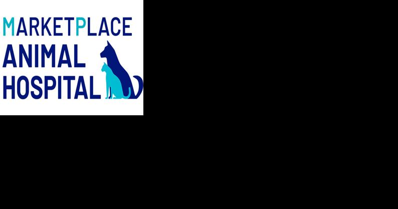 New MarketPlace animal hospital set to open this summer in New Braunfels - Vimarsana News