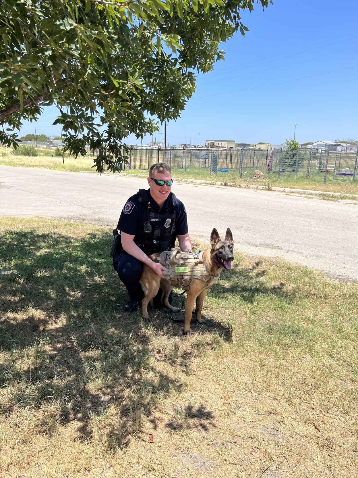 Belgian malinois hot sale k9 unit