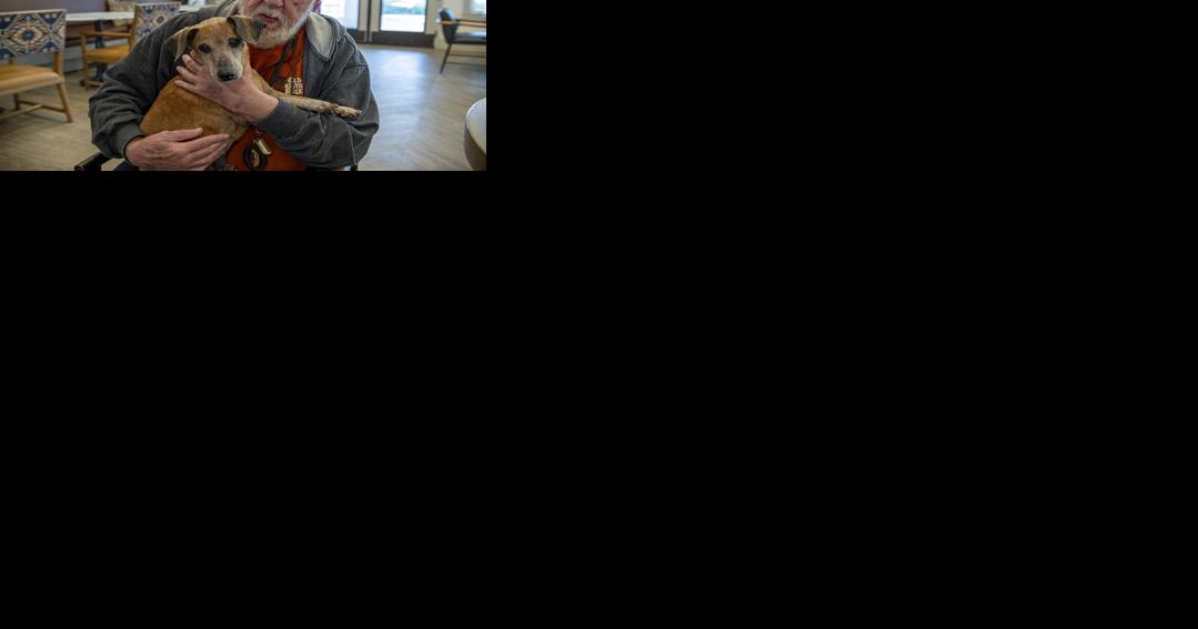 'THICK AS THIEVES': New Braunfels man, 91, shares special bond with 20-year-old rescue dog - Vimarsana News