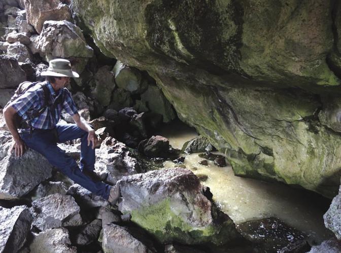 Eagle Nest Butte Unexpected delights Environment