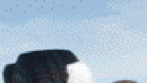 Weather Watch News Heraldandnews Com