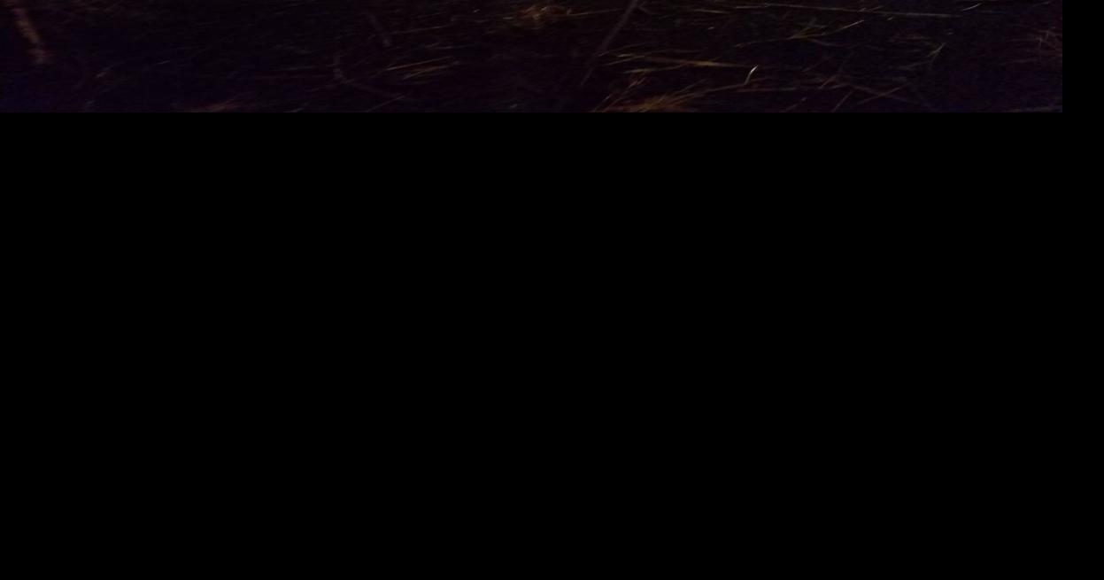 Tulelake woman dies in singlevehicle crash Breaking