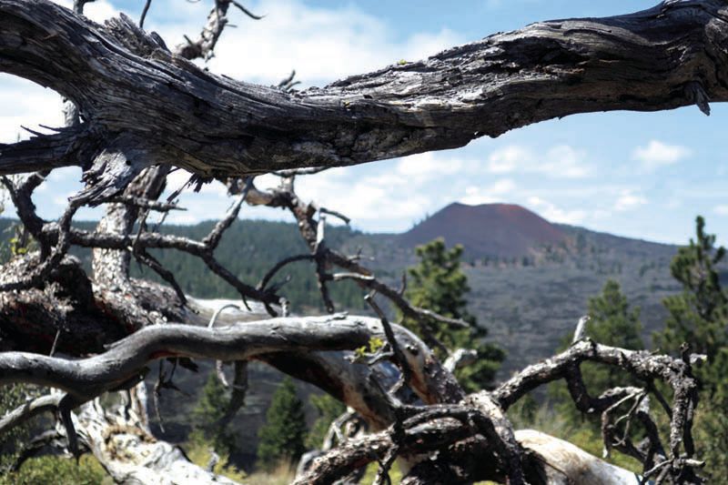 Eagle Nest Butte Unexpected delights Environment