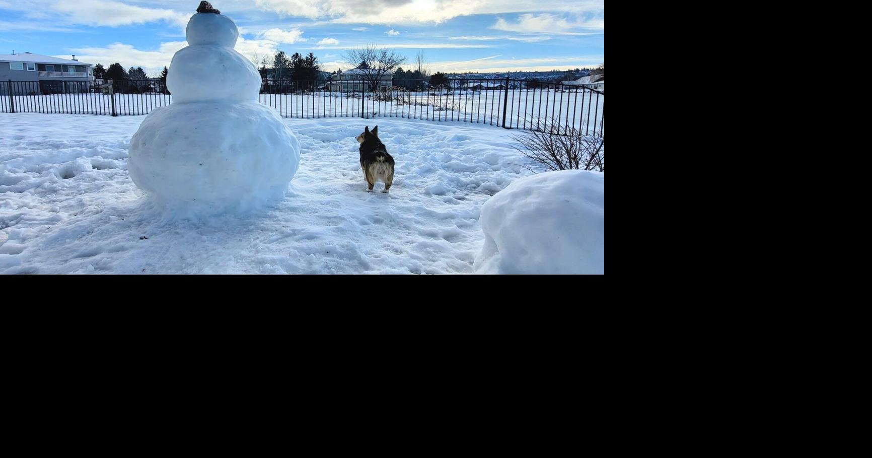 White Christmas precedes dry New Year's in Klamath Falls