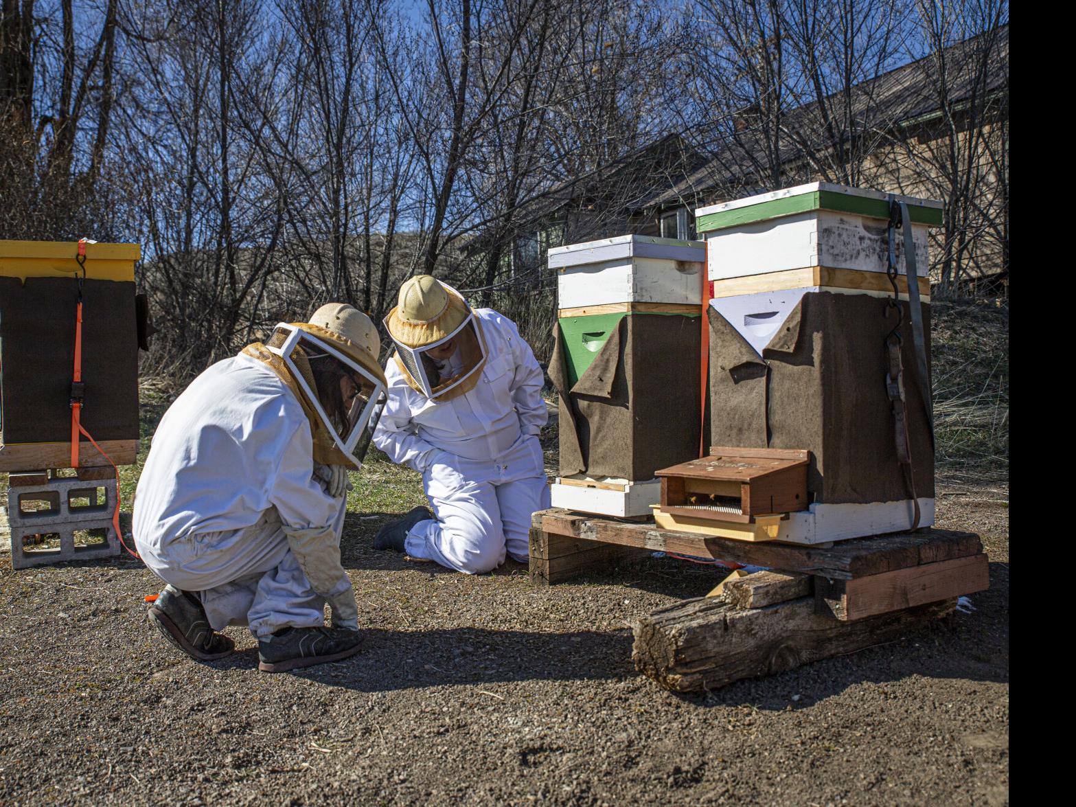 Beekeepers Club — Students — Penn State College of Agricultural