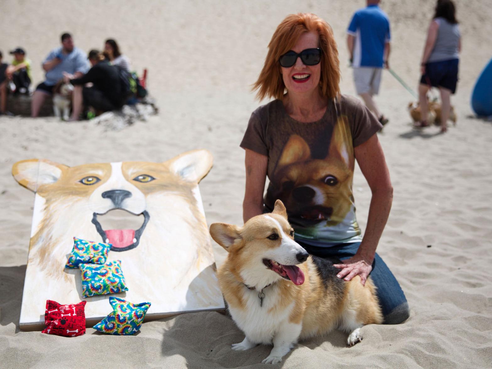 Hundreds Of Corgis Invade Cannon Beach Northwest Heraldandnews Com Corgi Beach Day Oregon 2022