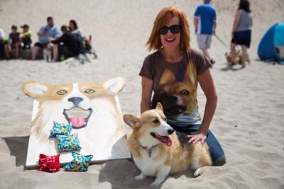 Corgi Beach Day Cannon Beach