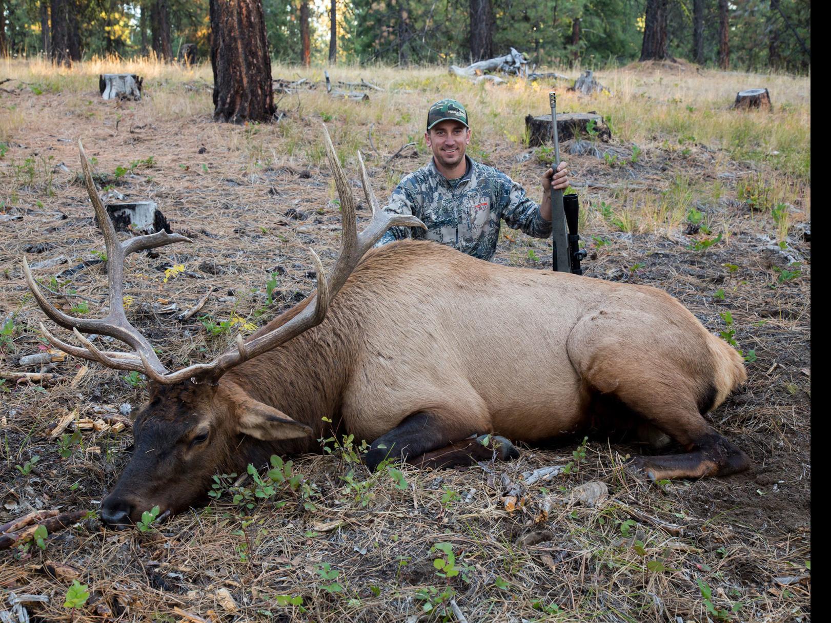 farwide alert colorado secondary draw results are out - hunting fishing and outdoor information farwide on colorado elk tag draw 2021 results