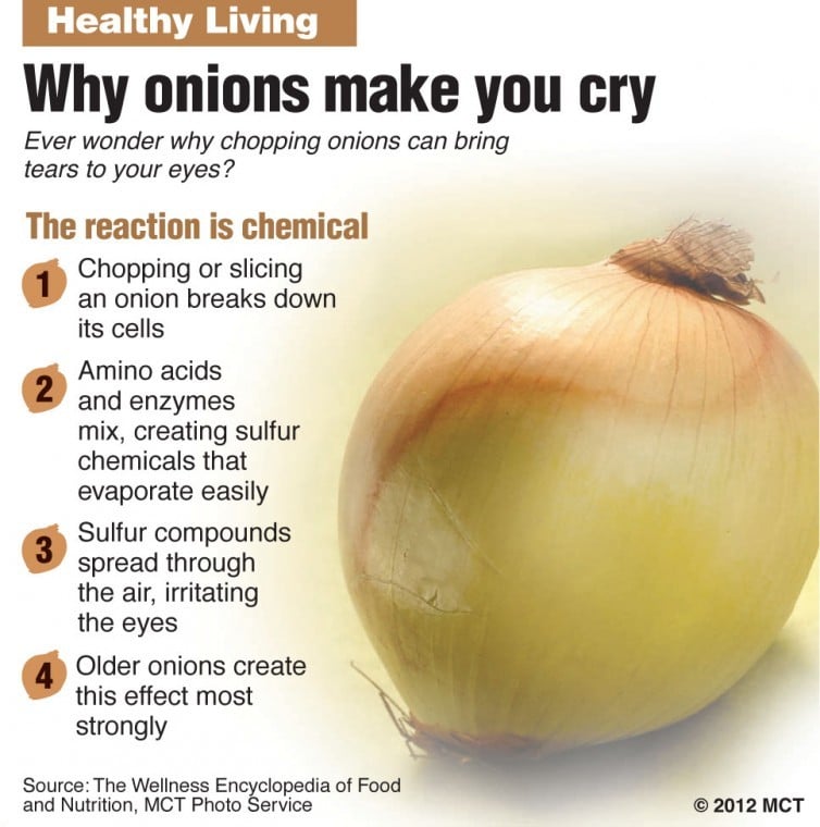 Healthy Living: Why Onions Make You Cry | Members | Heraldandnews.com