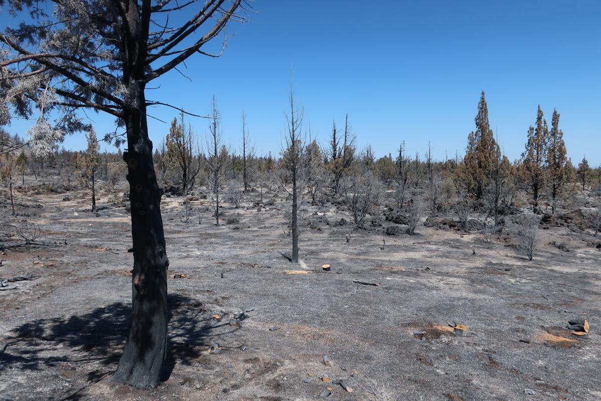 Fire scorches much of Lava Beds National Monument Local News
