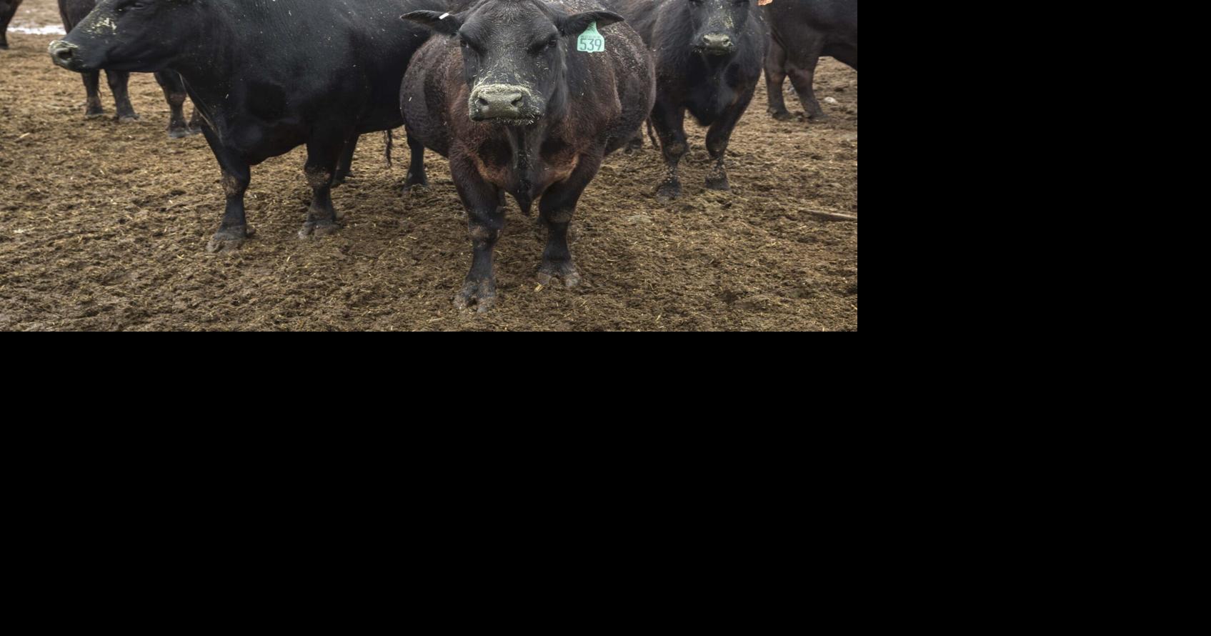 Feds give Oregon groups $100 million for sustainable farming, ranching ...