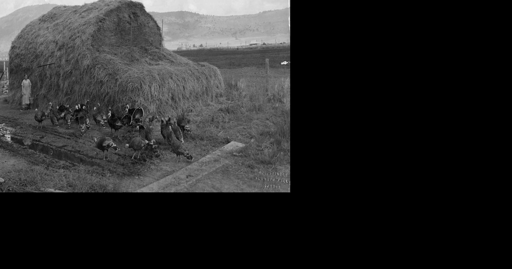 Looking back: This week in Klamath Basin history for the week of November 23, 2024