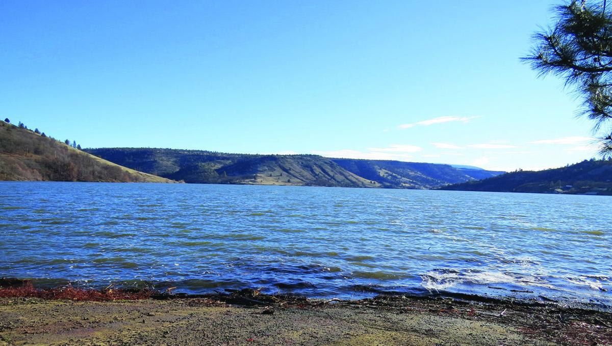 Dam demolition revived Local News