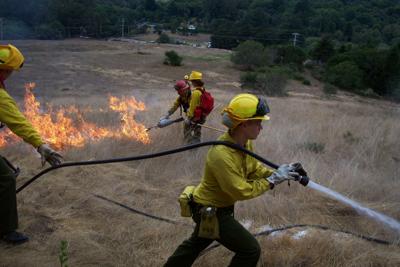 Underbrush In Owen Park Is So Dense Its >> Using Fire To Solve Wildfire Problems Local News Heraldandnews Com Underbrush In Owen Park Is So Dense Its >> Using Fire To Solve Wildfire Problems Local News Heraldandnews Com