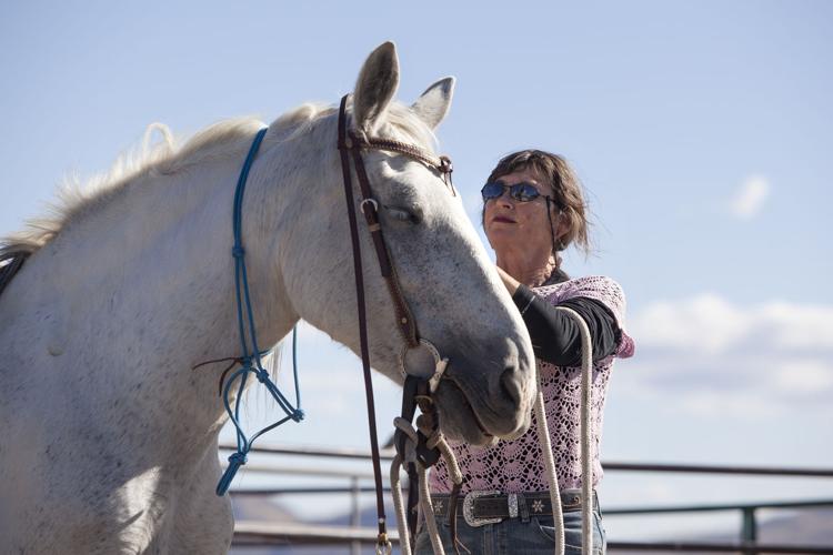 A helping hand for horses | Local News 