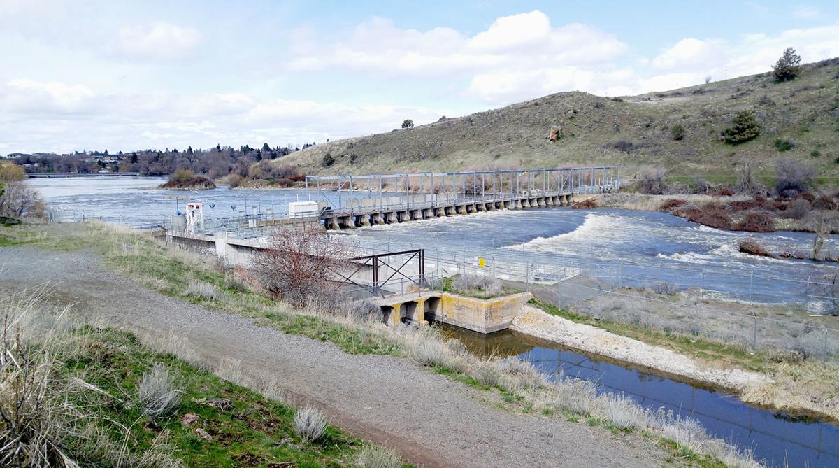 Reclamation begins emergency dilution flows early Monday in Klamath