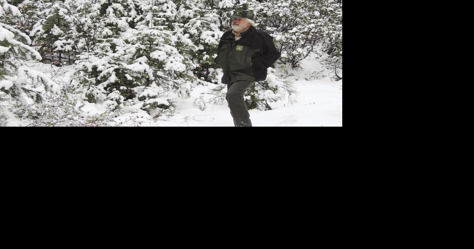 Fremont-Winema National Forest Christmas tree permits on sale