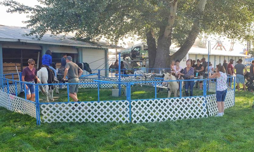 Crowds turn out for TulelakeButte Valley Fair News