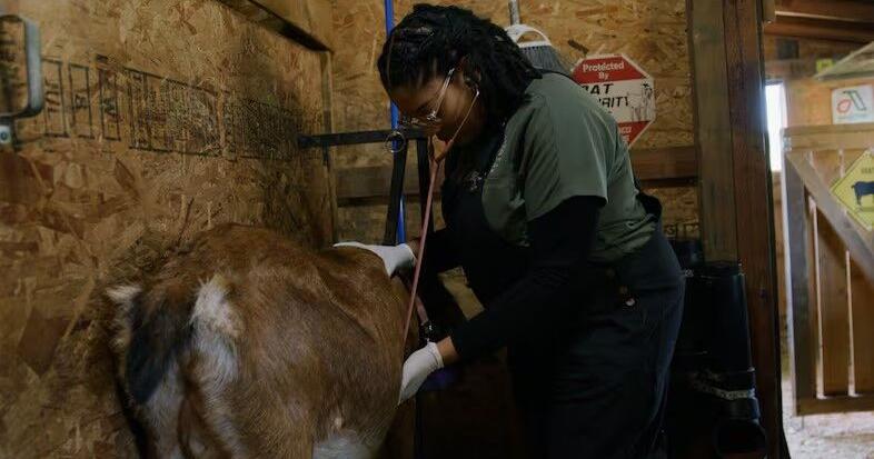 How Oregon became such a pet-friendly state