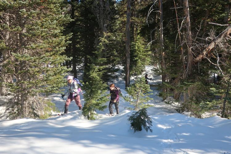 Tromping down the PCT on snowshoes Outdoors