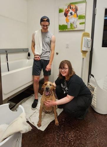 oit animals - Amina Norris helping bathe a dog at the Klamath Animal Shelter.jpg