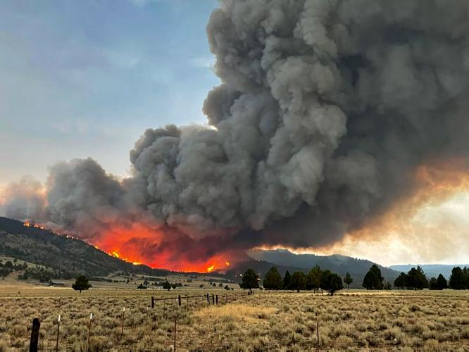 Patton Meadows Fire